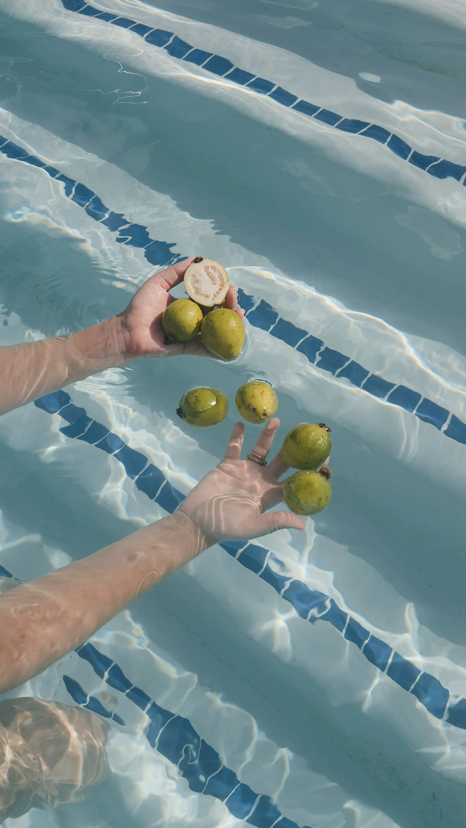 Two hands holding green guavas partially submerged in a swimming pool with blue tiles.