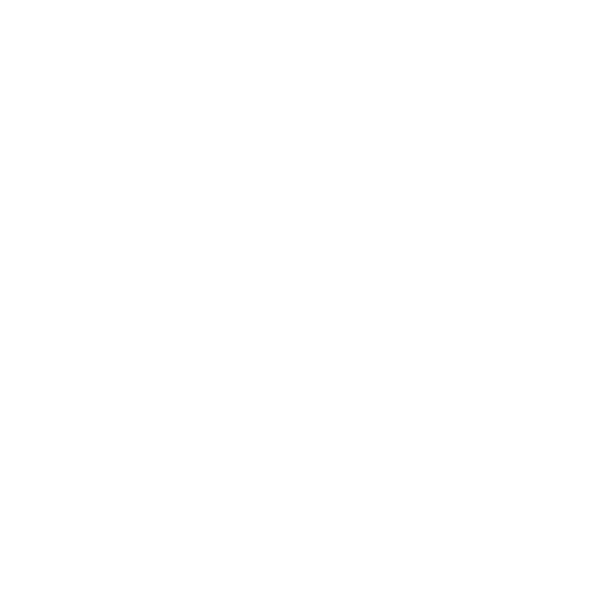 A Sol Sisters brand icon made up of a white asterisk or starburst.
