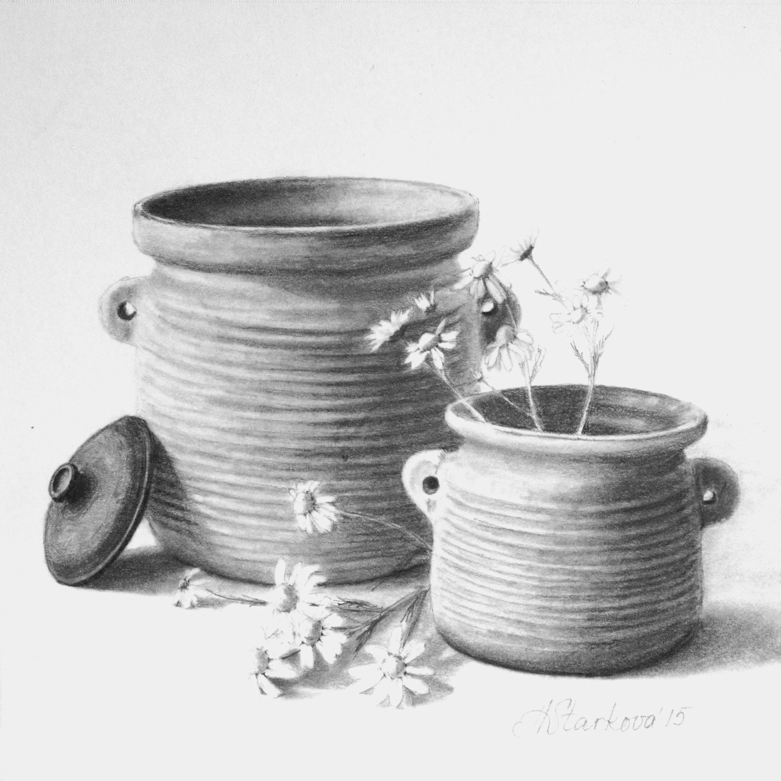 A detailed pencil sketch of two terracotta pot, one with small flowers, camomile or daisies.