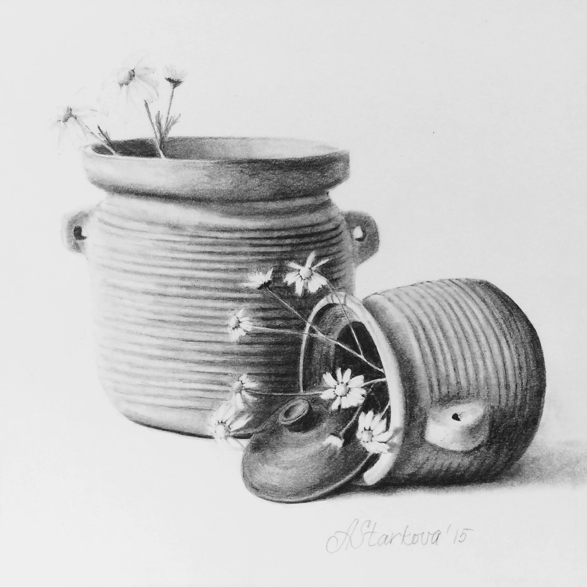 A black-and-white drawing of a ceramic jar with a rounded body and spiral ridges, with small flowers of camomile or daisies. One of the jars is resting on a side.