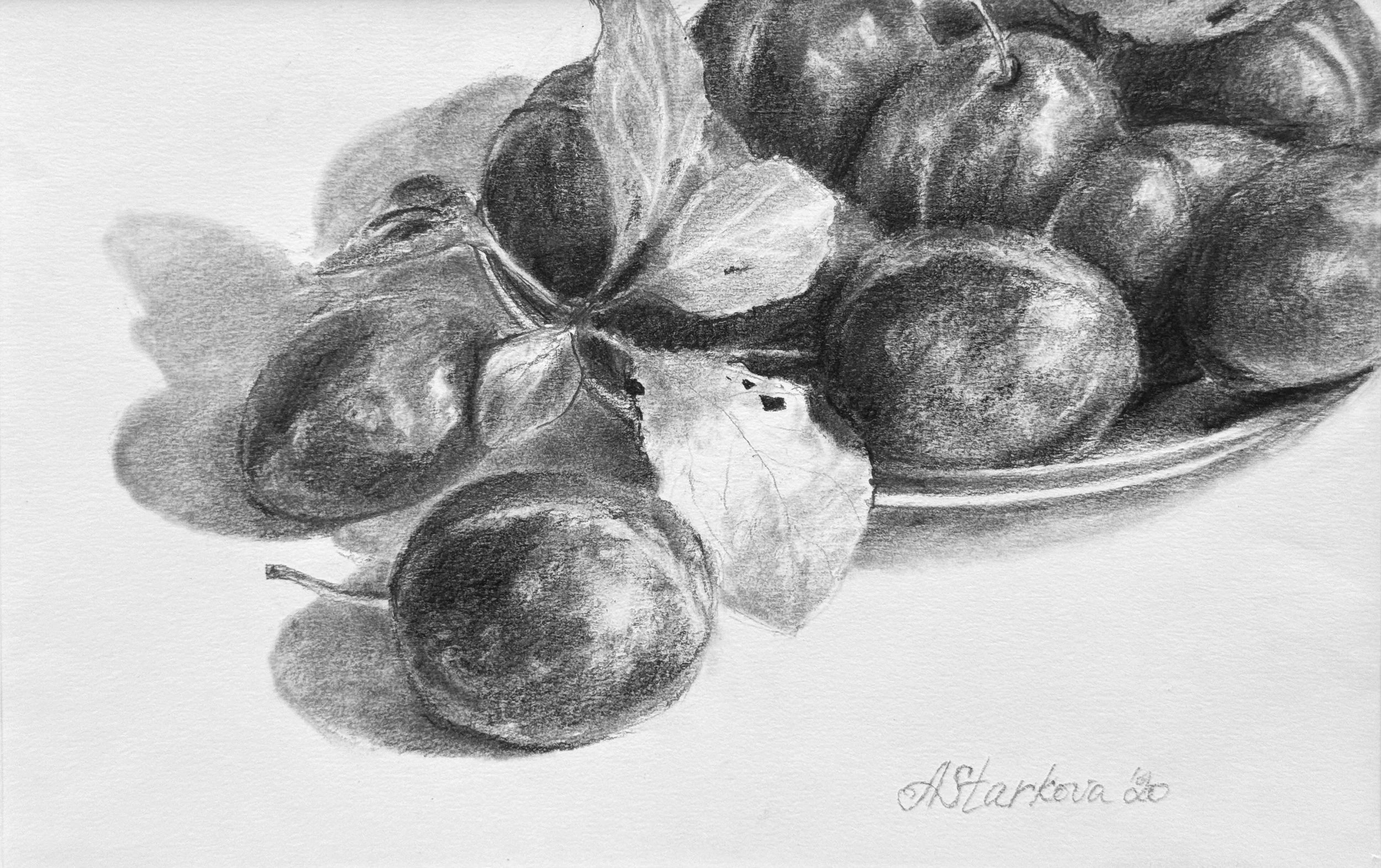 A pencil sketch of a bunch of plums on a table.