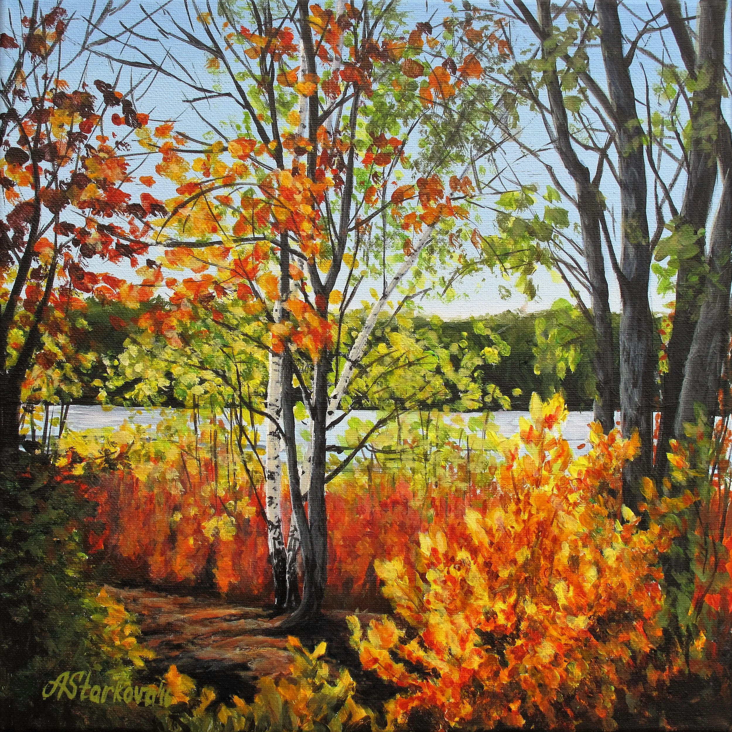 A painting of trees with colorful autumn leaves, including shades of red, orange, yellow, and green, on a bright day with a clear blue sky. The trees have white and dark brown trunks, and the ground has fallen leaves.
