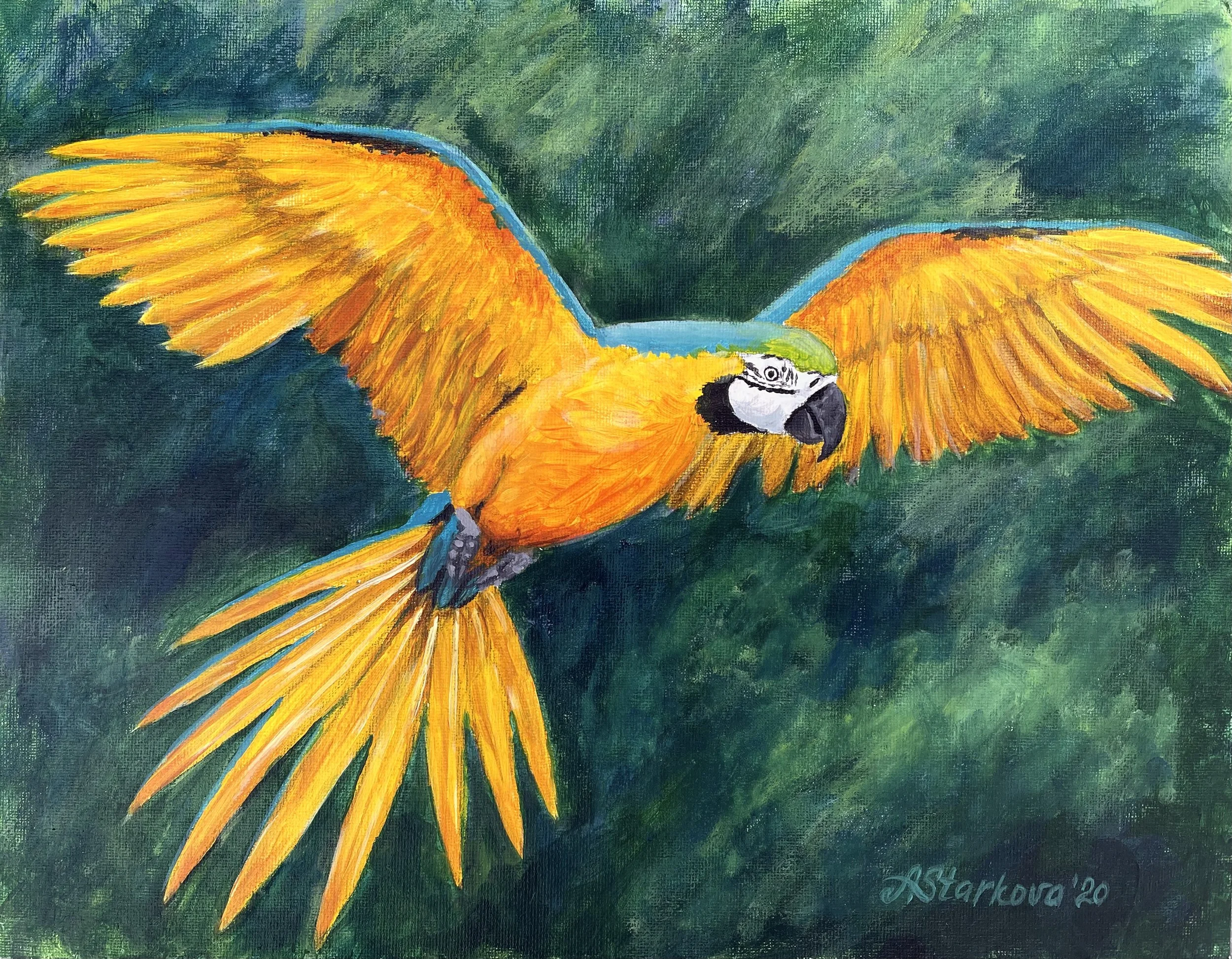 Painting of a yellow and orange parrot macaw with outstretched wings on a green background.