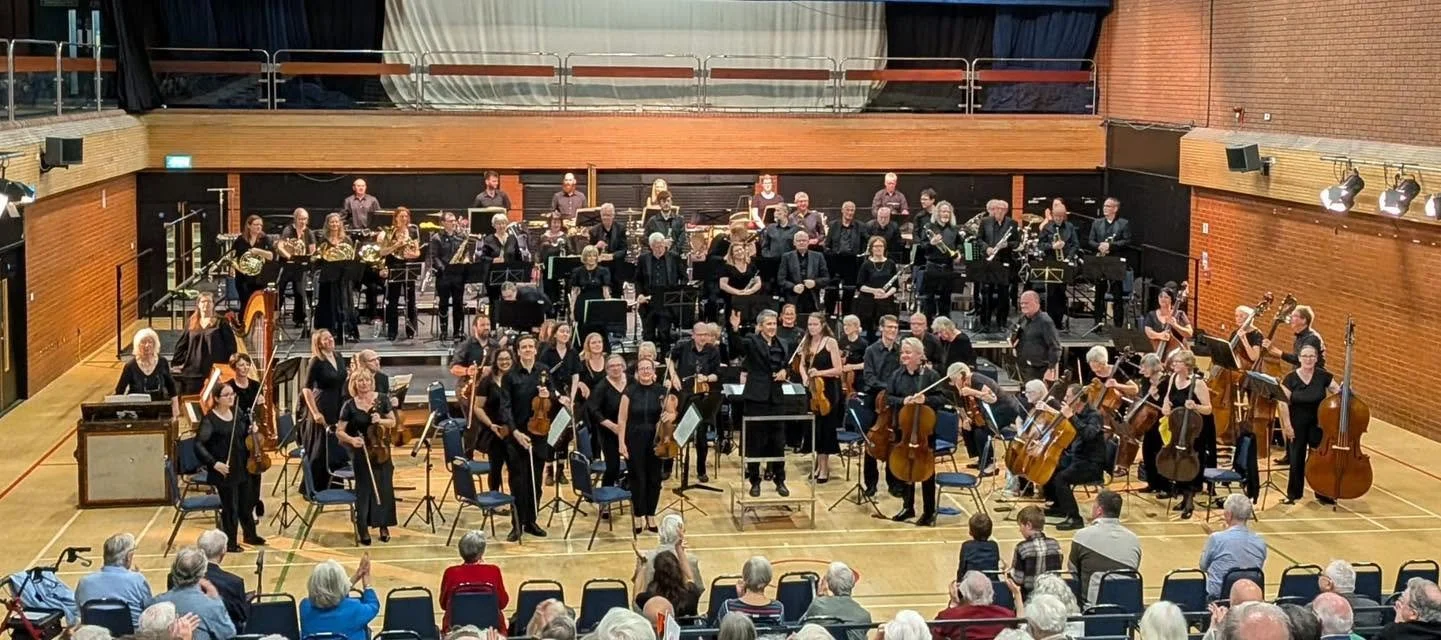 Symphony orchestra performing on stage in concert hall, with audience seated in front.