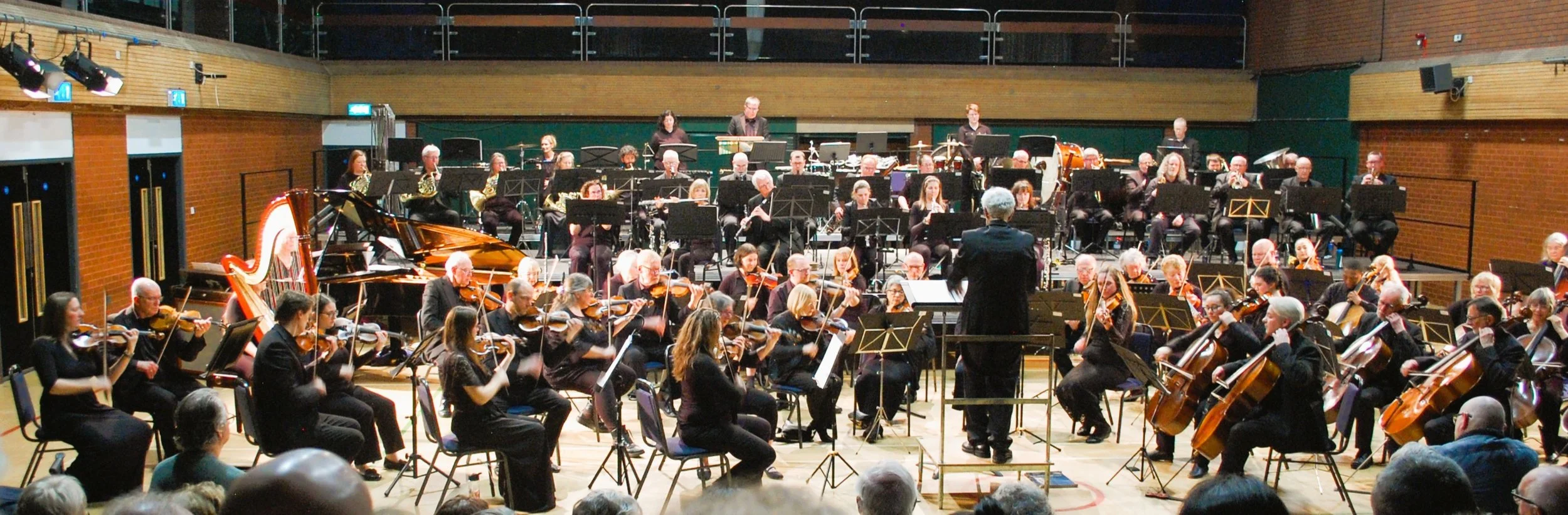 An orchestra performing on stage with a conductor leading, featuring musicians playing violins, cellos, a grand piano, and various other instruments in a concert hall.