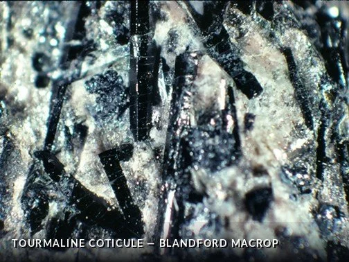 TourmalineCoticule - BlandfordMAcrop.jpg