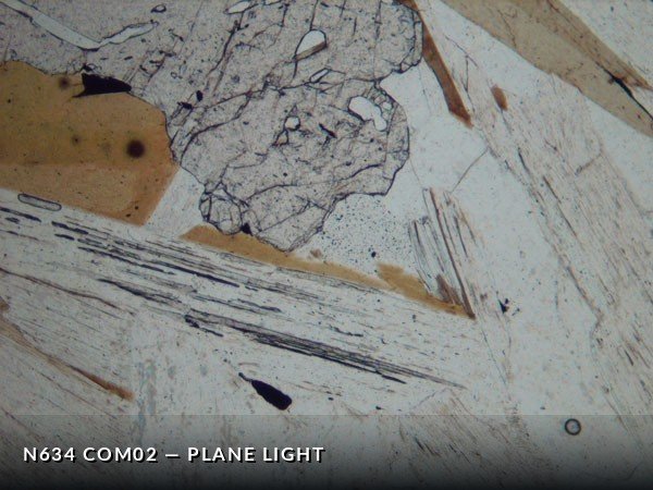 N634_COm02PL.jpg