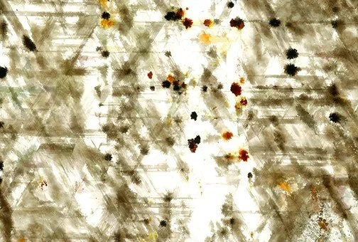 Mica205e.jpg