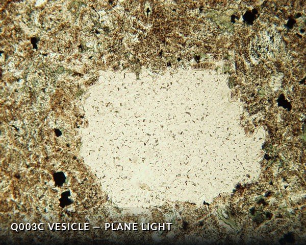 Q003C Vesicle PL.jpg