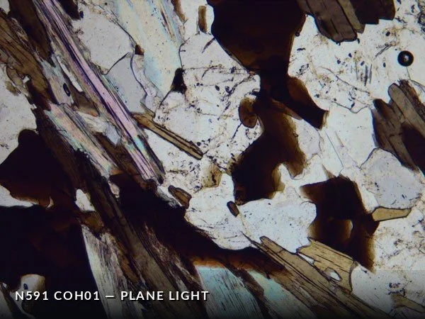 N591_COh01PL.jpg
