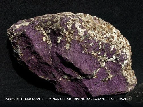 Purpurite, Muscovite - MinasGerais, DivinodasLaranjeiras, Brazil.jpg