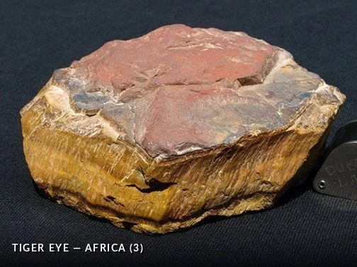 TigerEye - Africa (3).jpg