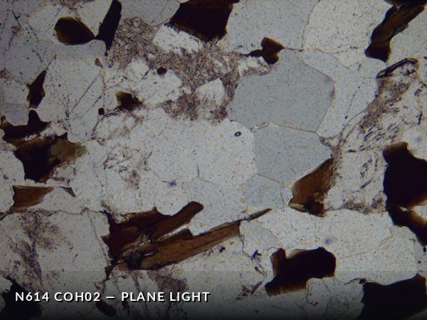 N614_COh02PL.jpg