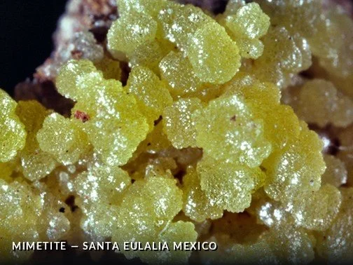 Mimetite - SantaEulaliaMexicoCrop.jpg