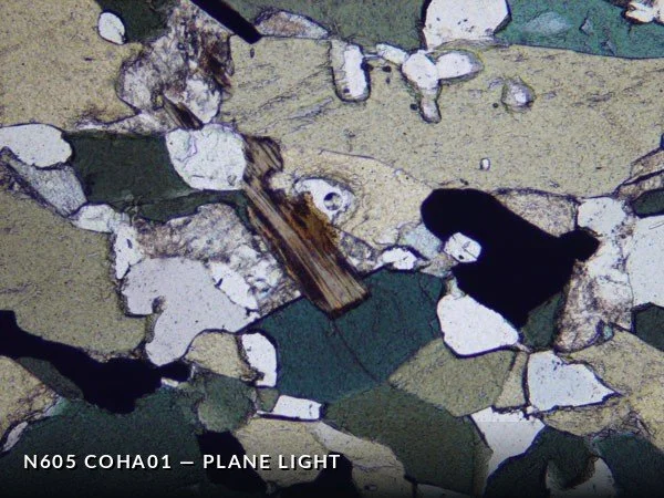 N605_COha01PL.jpg