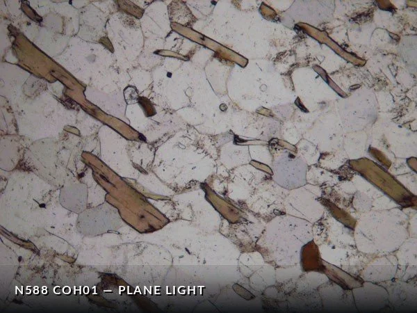 N588_COh01PL.jpg