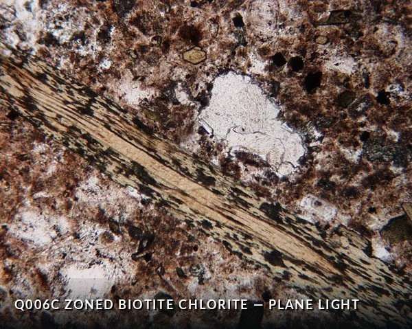Q006C Zoned Bio_Chl PL.jpg