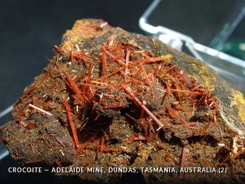 Crocoite - AdelaideMine, Dundas, Tasmania, Australia (2).jpg