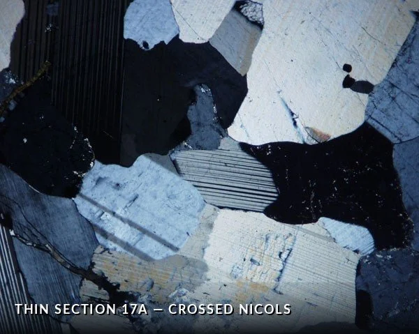 Thin Section 17a - Crossed Nicols.jpg