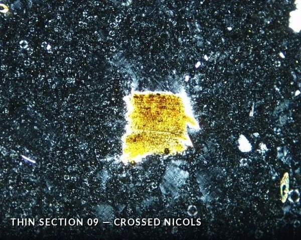 Thin Section 09 - Crossed Nicols.jpg