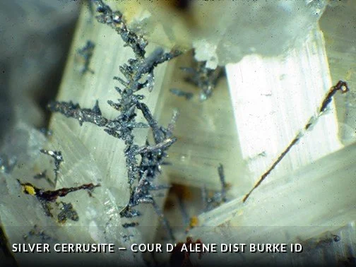 SilverCerrusite - CourD'AleneDistBurkeIDCrop.jpg