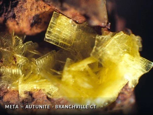 Meta-Autunite - BranchvilleCTCrop.jpg