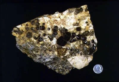 Almandine Garnet - A very common accessory mineral in the rocks of NYC as a result of contacvt metamorphism and dynamothermal metamorphism of aluminous rocks. This specimen was found at 65th Street and Broadway. Kunz Collection #188.