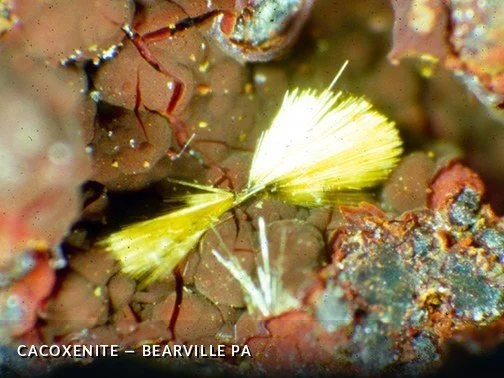 Cacoxenite - BearvillePACrop.jpg