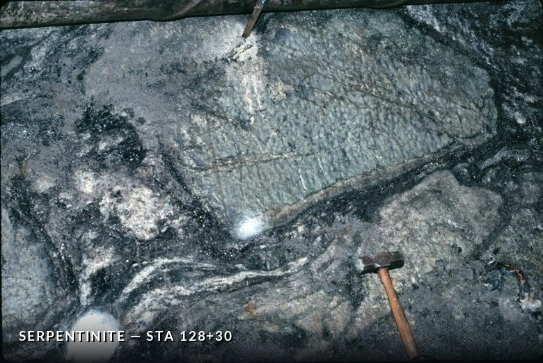 BKTL 12830Serp02.jpg