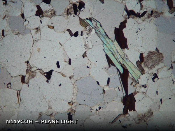 N119COhPL.jpg
