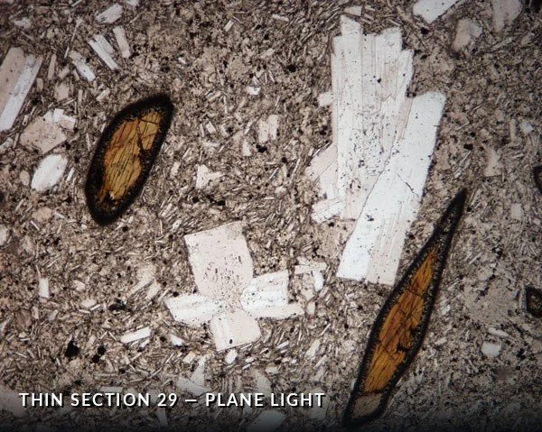 Thin Section 29 - Plane Light.jpg