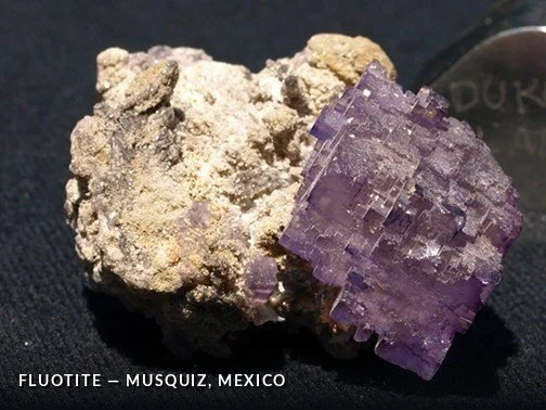 Fluotite - Musquiz, Mexico.jpg