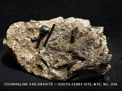 Tourmaline var Dravite - SouthFerrySite, NYC, NY, USA.jpg