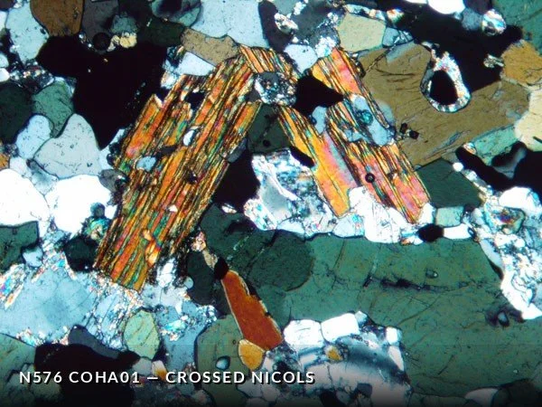 N576_COha01XN.jpg