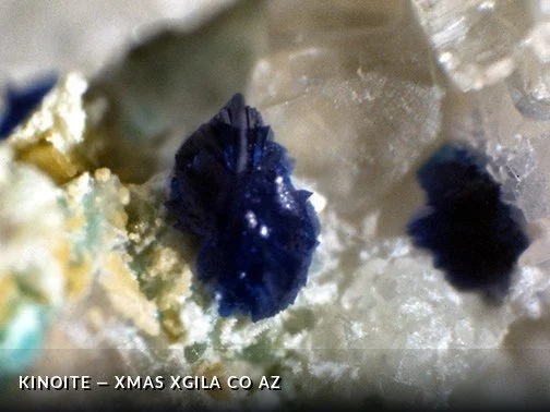Kinoite - XmasXGilaCoAZCrop.jpg