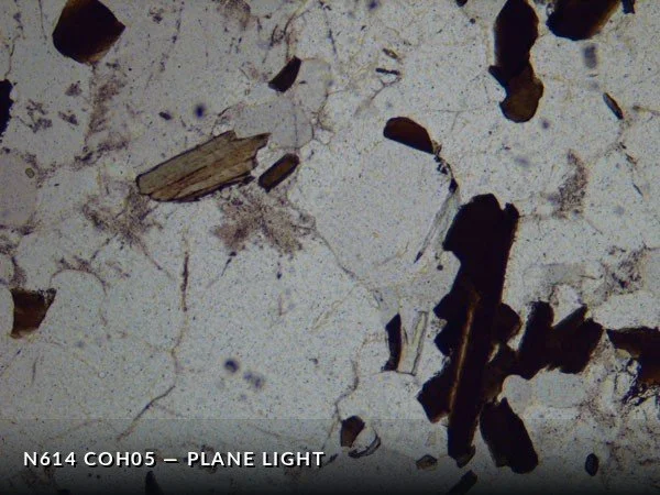 N614_COh05PL.jpg