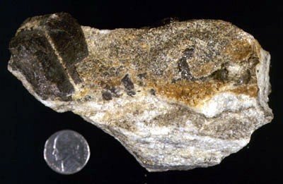 Sphene - A common accessory mineral in igneous and metamorphic rocks, this wedge-like specimen of sphene exhibits a dark-brown color in a schistose calcareous host rock. from the Harlem Ship Canal. No other details.