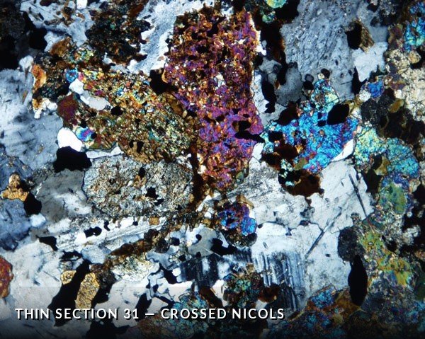 Thin Section 31 - Crossed Nicols.jpg