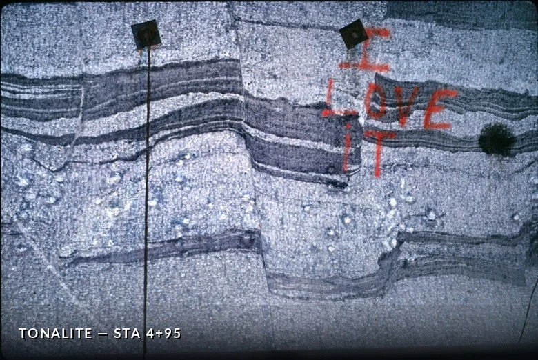 BKTL 0495Tonalite.jpg