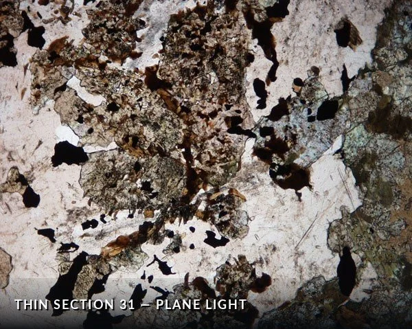 Thin Section 31 - Plane Light.jpg