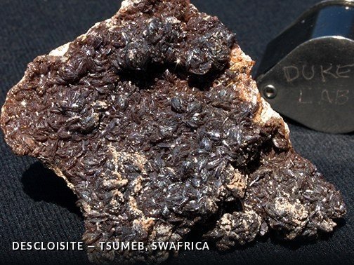 Descloisite - Tsumeb, SWAfrica.jpg