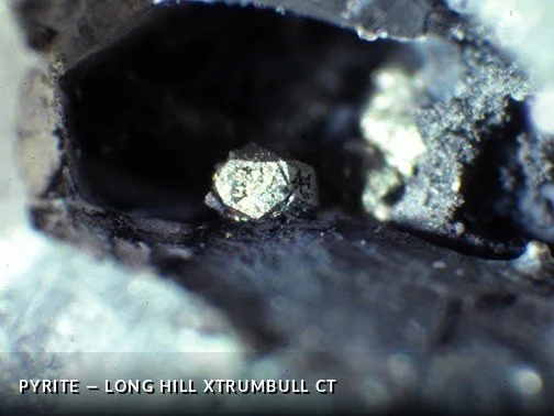 Pyrite - LongHillXTrumbullCTCrop.jpg
