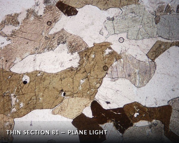Thin Section 81 - Plane Light.jpg