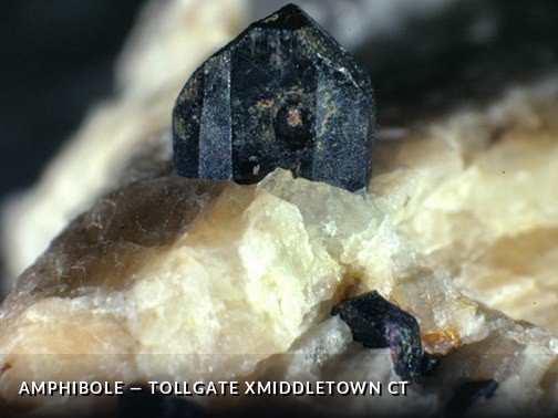 Amphibole - TollgateXMiddletownCTCrop.jpg