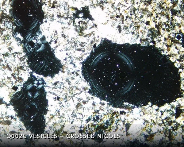 Q002C Vesicles XN.jpg