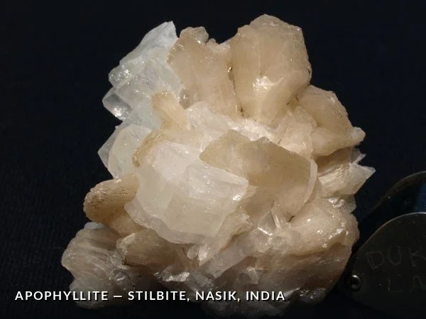P061 - Apophyllite-Stilbite, Nasik, India.jpg