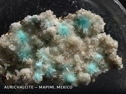 Aurichalcite - Mapimi, Mexico.jpg