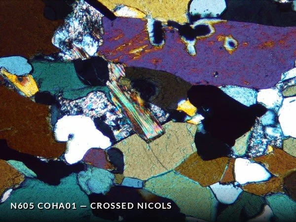 N605_COha01XN.jpg