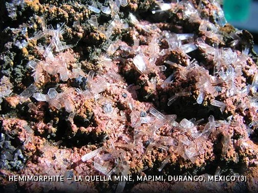 Hemimorphite - LaQuellaMine, Mapimi, Durango, Mexico (3).jpg