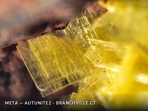 Meta-Autunite2 - BranchvilleCTCrop.jpg